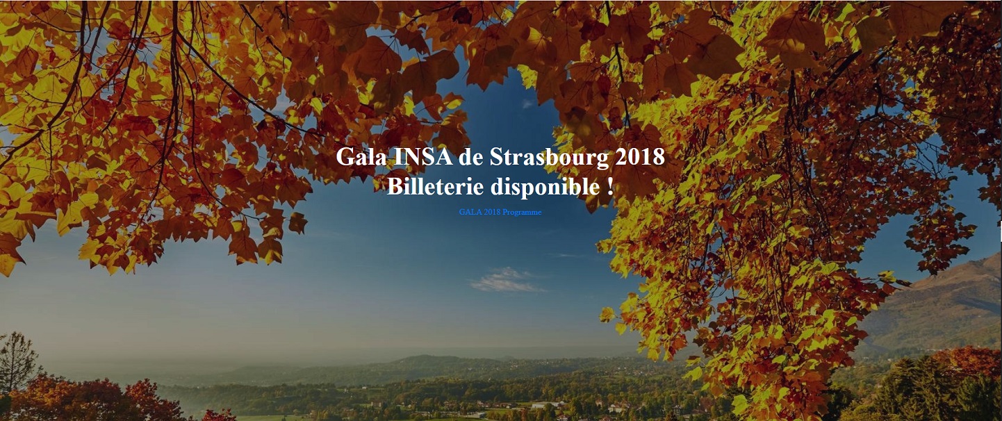 Logo Gala INSA Strasbourg
